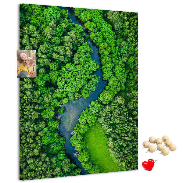 Cork notice board A green landscape with a winding river