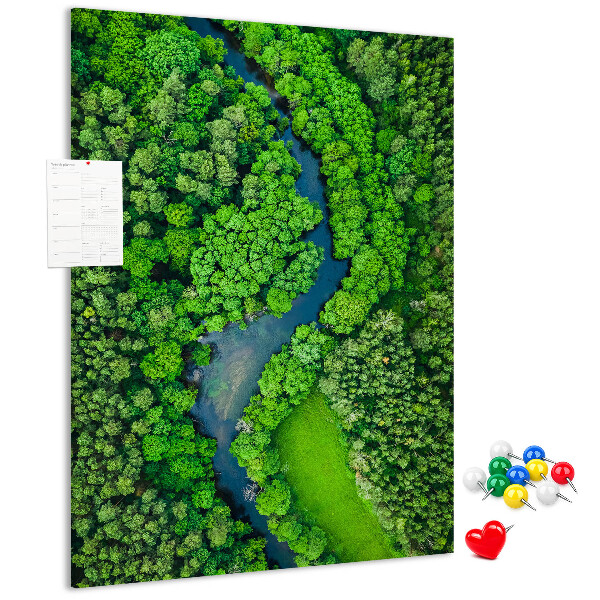 Cork notice board A green landscape with a winding river