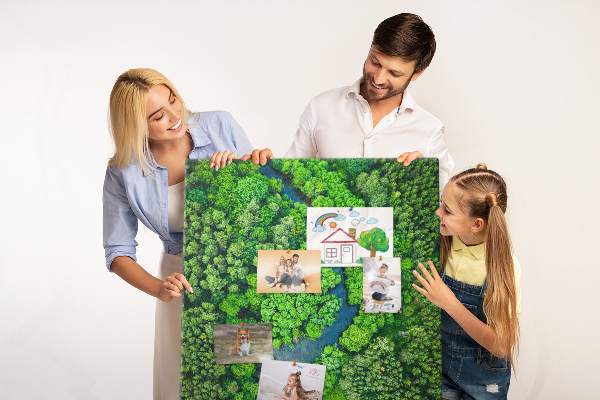 Cork notice board A green landscape with a winding river