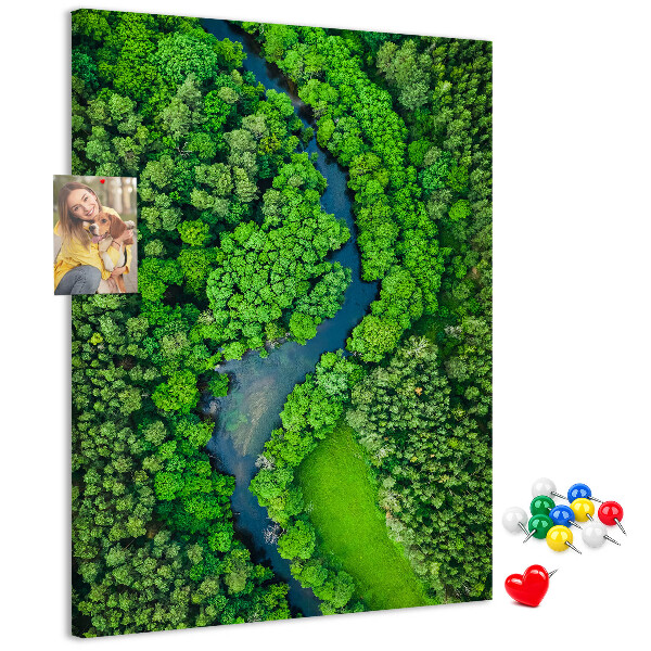 Cork notice board A green landscape with a winding river