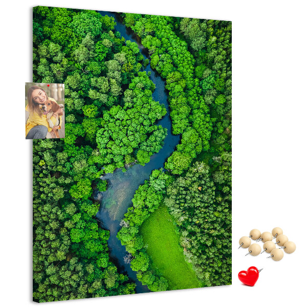 Cork notice board A green landscape with a winding river