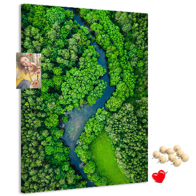 Cork notice board A green landscape with a winding river
