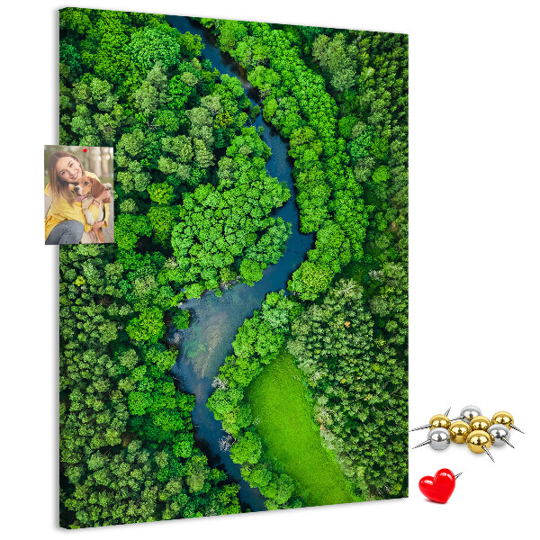 Cork notice board A green landscape with a winding river