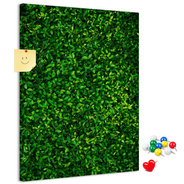 green dense foliage