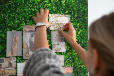 Cork notice board Green dense leafy wall