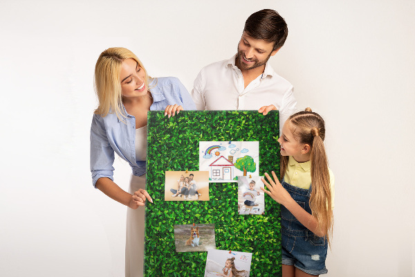 Cork notice board Green dense leafy wall