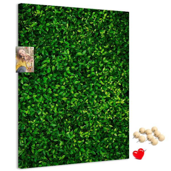 Cork notice board Green dense leafy wall