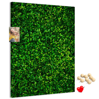 Cork notice board Green dense leafy wall