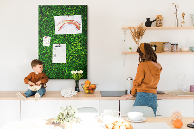 Cork notice board Green dense leafy wall