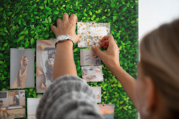Cork notice board Green dense leafy wall