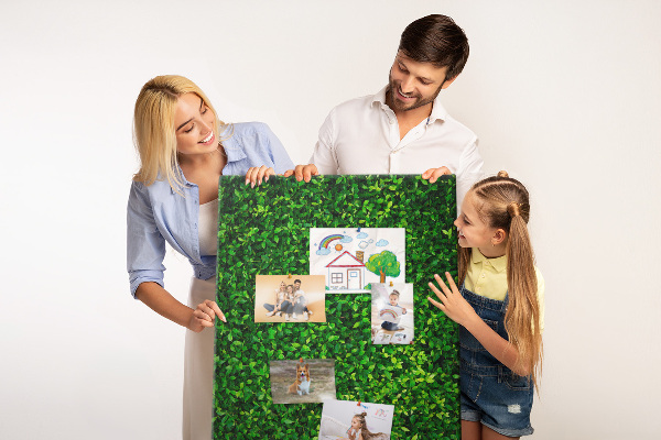 Cork notice board Green dense leafy wall