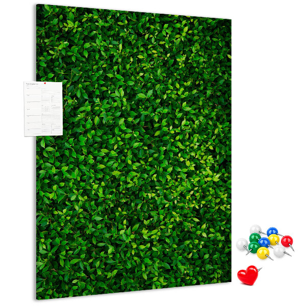 Cork notice board Green dense leafy wall