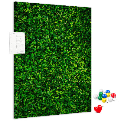 Cork notice board Green dense leafy wall