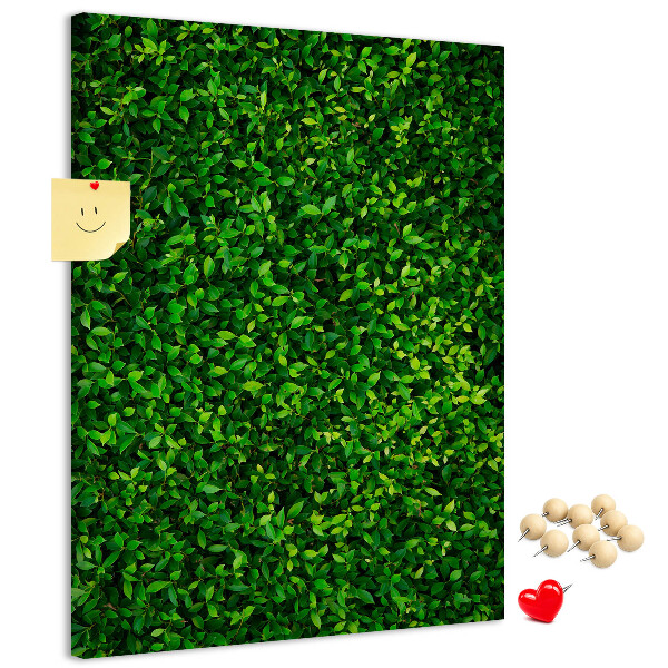 Cork notice board Green dense leafy wall