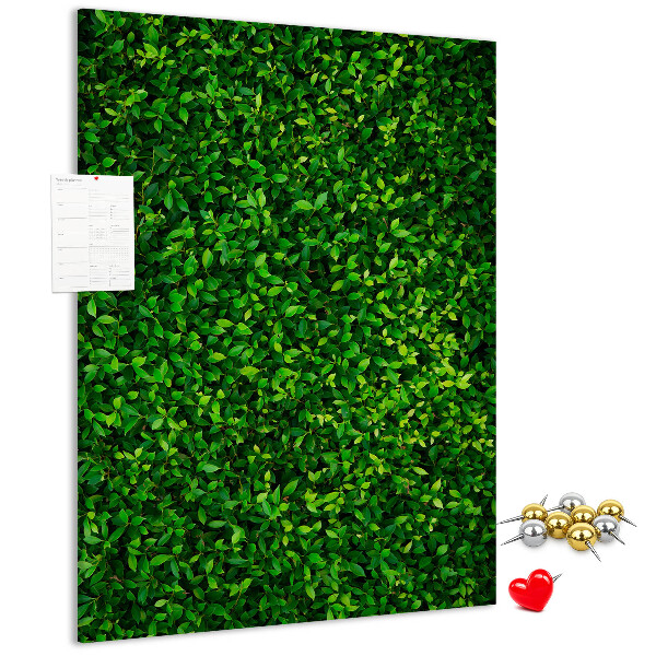 Cork notice board Green dense leafy wall
