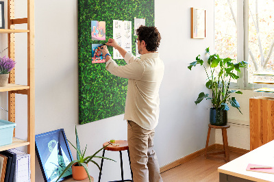 Cork notice board Green dense leafy wall