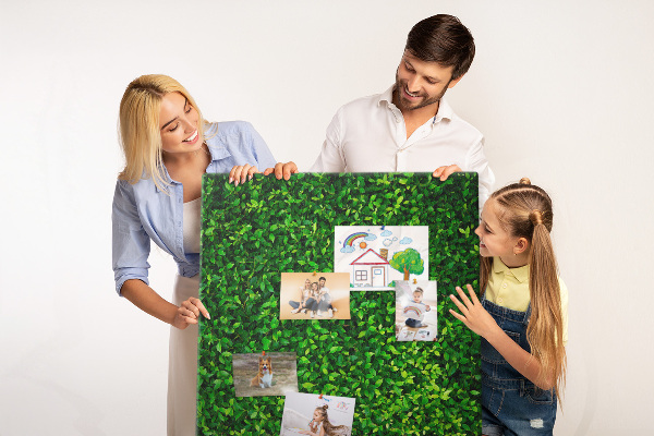 Cork notice board Green dense leafy wall