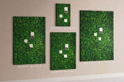 Cork notice board Green dense leafy wall