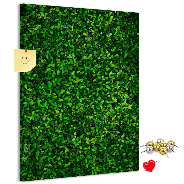 Cork notice board Green dense leafy wall