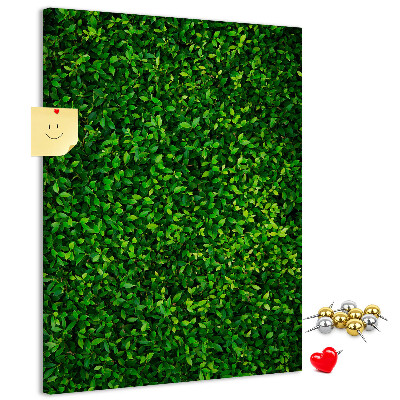 Cork notice board Green dense leafy wall