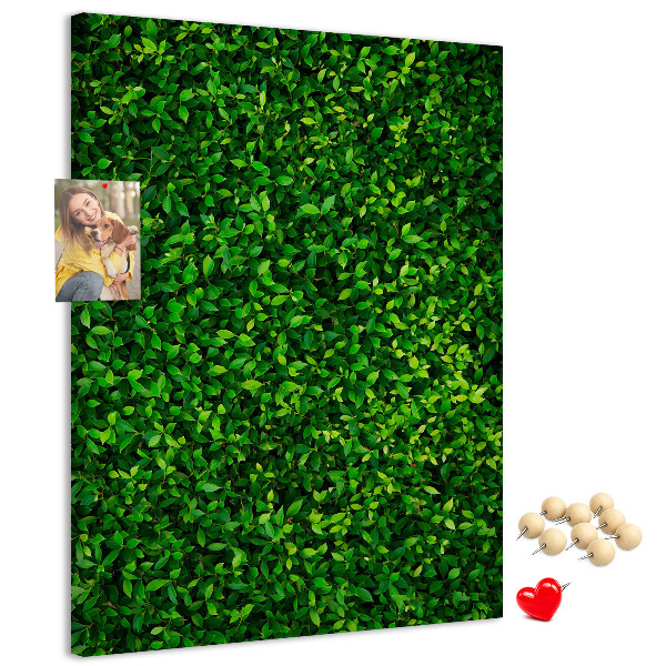 Cork notice board Green dense leafy wall