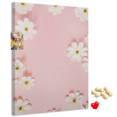 Pin board Pink background with white daisy flowers