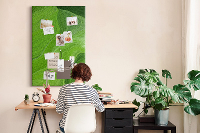 Memo cork board Green waves with delicate lines