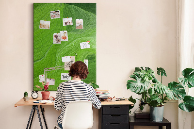 Memo cork board Green waves with delicate lines