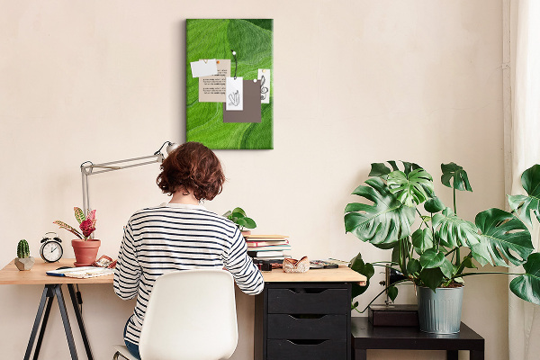 Memo cork board Green waves with delicate lines