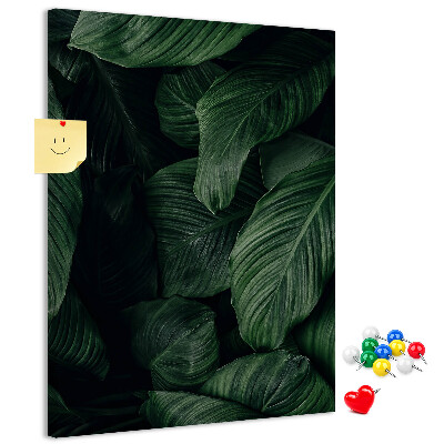 Memo cork board Green leaves in a dark background