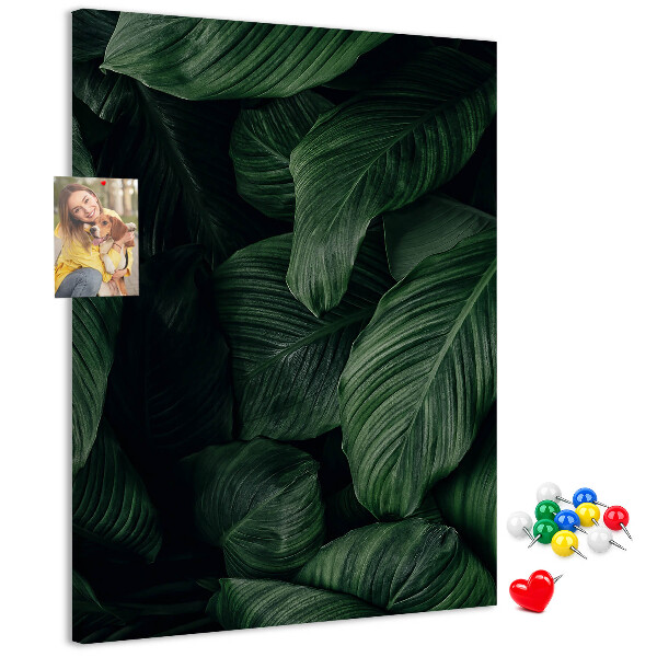 Memo cork board Green leaves in a dark background