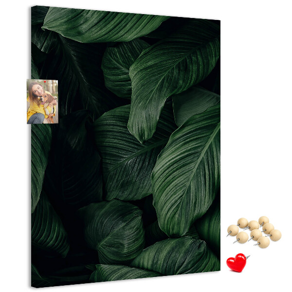 Memo cork board Green leaves in a dark background