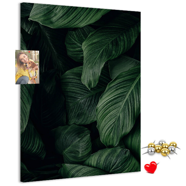 Memo cork board Green leaves in a dark background