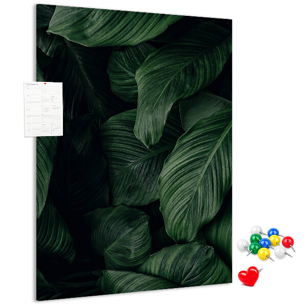 Memo cork board Green leaves in a dark background
