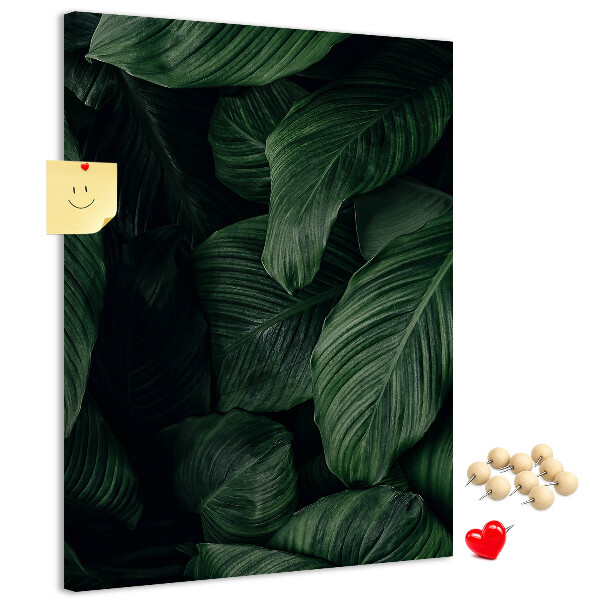Memo cork board Green leaves in a dark background