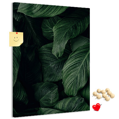 Memo cork board Green leaves in a dark background