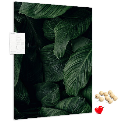 Memo cork board Green leaves in a dark background