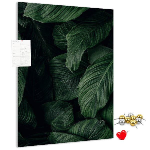 Memo cork board Green leaves in a dark background