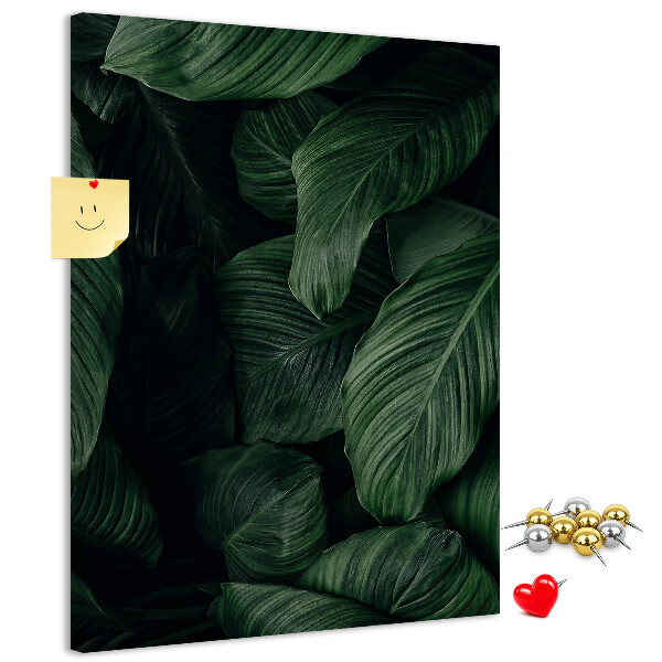 Memo cork board Green leaves in a dark background