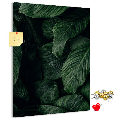 Memo cork board Green leaves in a dark background