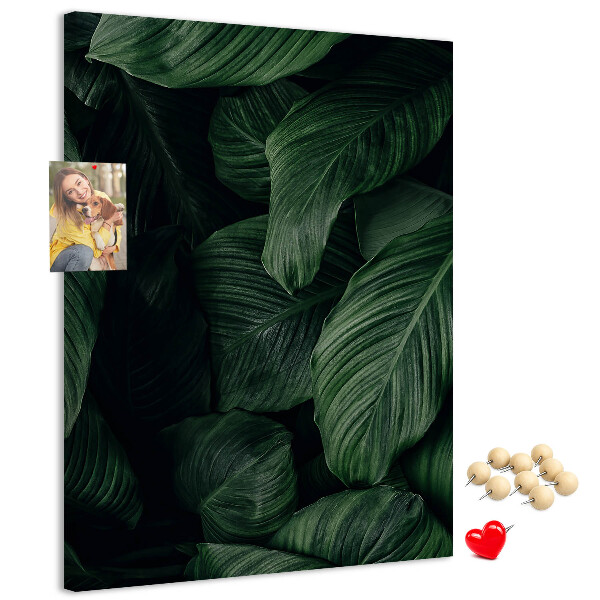 Memo cork board Green leaves in a dark background