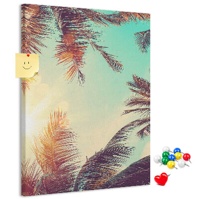 Pin board Tropical palm leaves in the setting sun