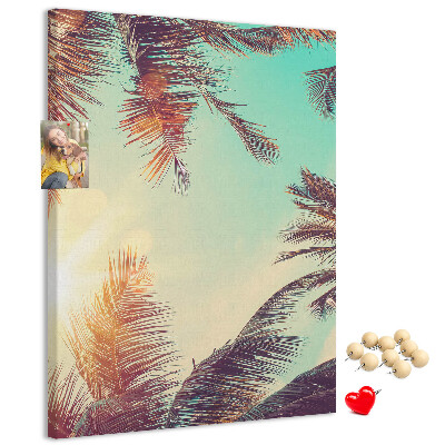 Pin board Tropical palm leaves in the setting sun