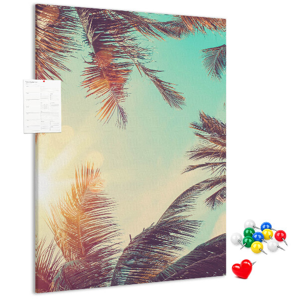 Pin board Tropical palm leaves in the setting sun