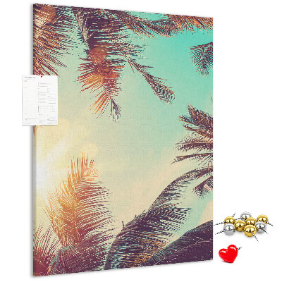 Pin board Tropical palm leaves in the setting sun
