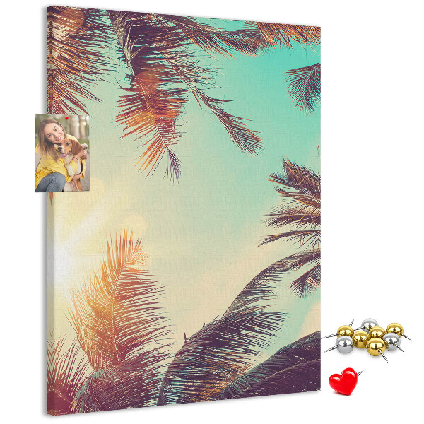 Pin board Tropical palm leaves in the setting sun