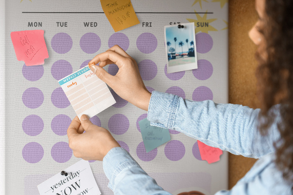 Pin board Monthly planner with colored dots