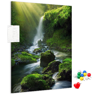Cork notice board Green valley with a waterfall and a stream