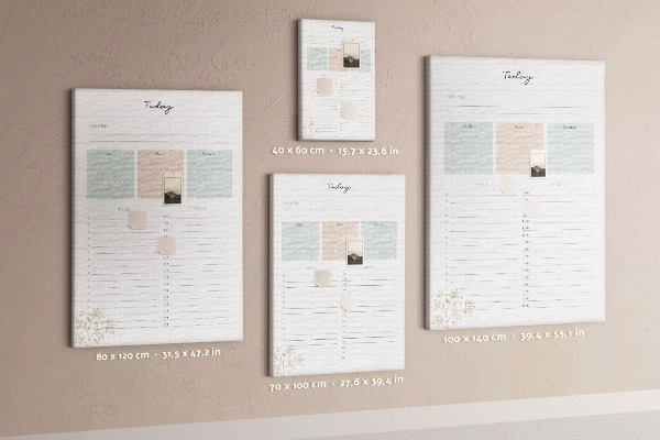 Wall cork memo board Daily planner with colorful sections