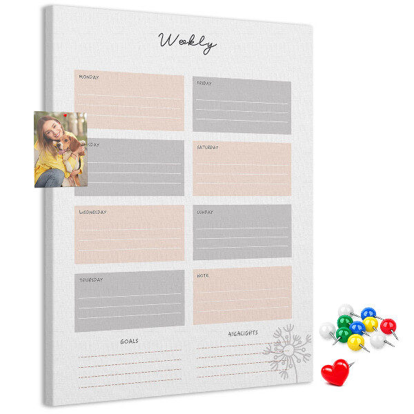 Memo cork board Weekly planner with colored sections